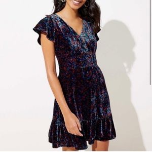 LOFT sz 4 Velvet Fit & Flare Dress Blue Red Floral